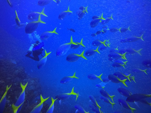 Yongala Dive-Ayr必去景点