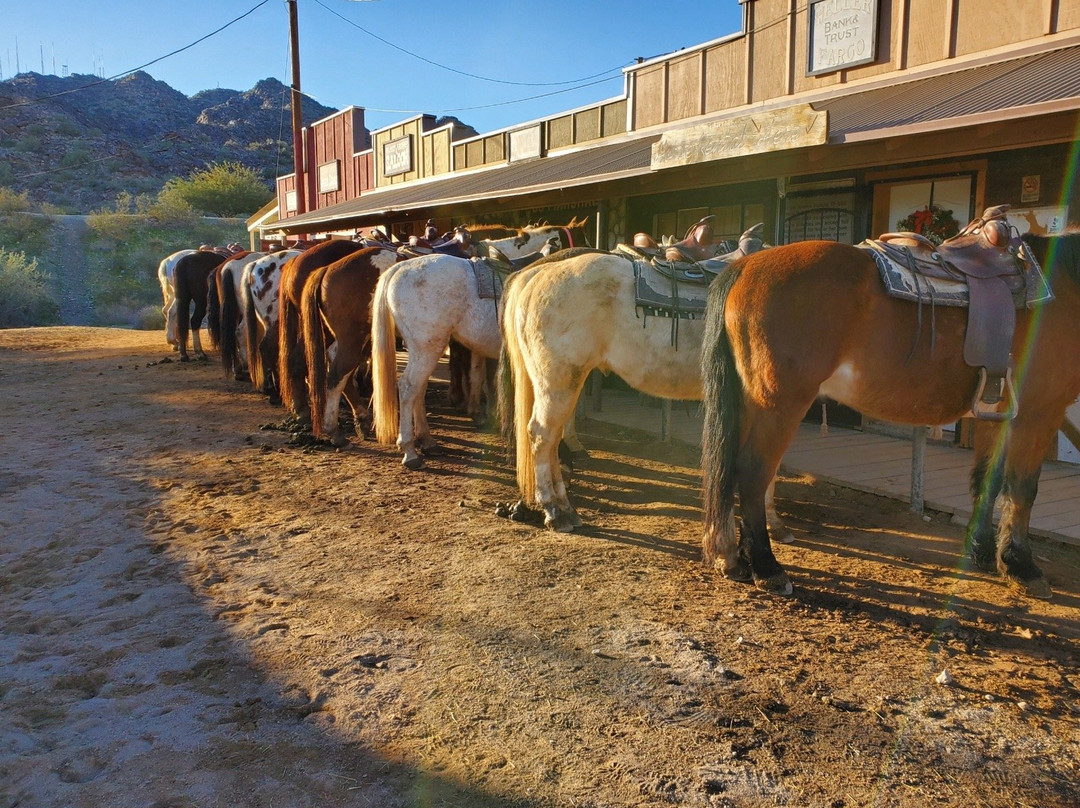 Arizona Horses (Ponderosa Stables and South Mountain Stables)景点图片