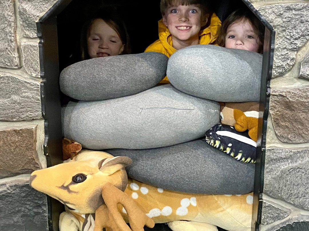 Virginia Discovery Museum-夏洛茨维尔必去景点