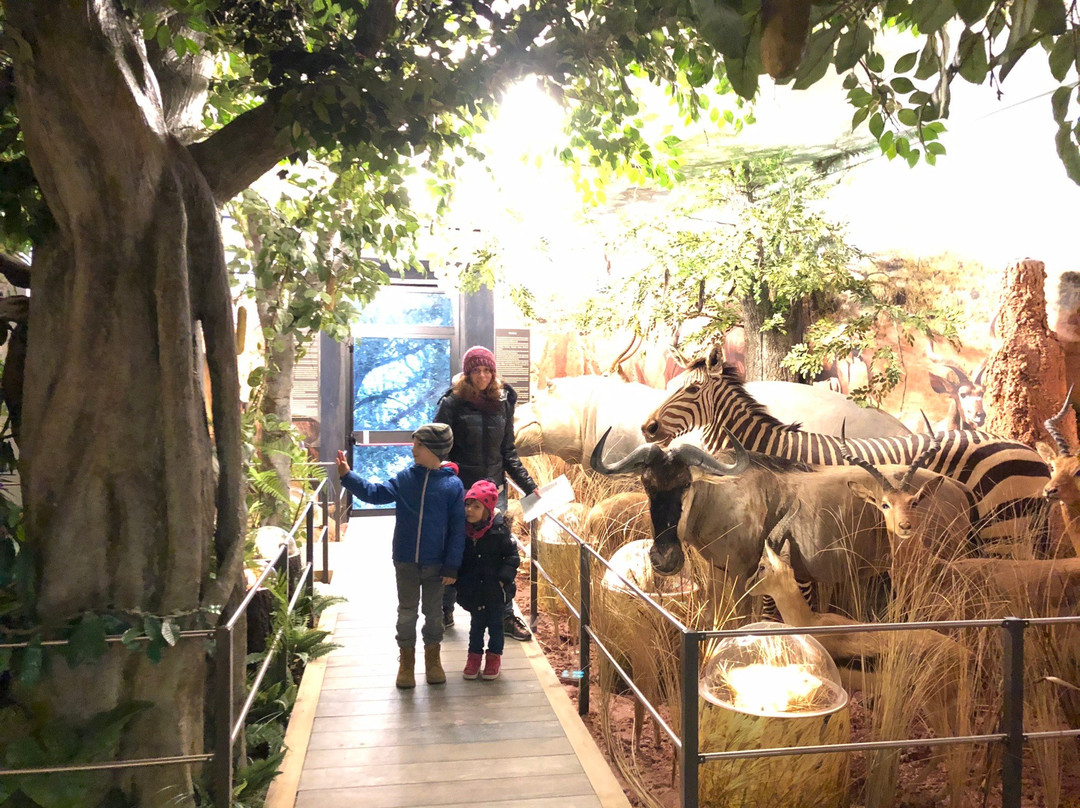 Villa Baciocchi景点图片