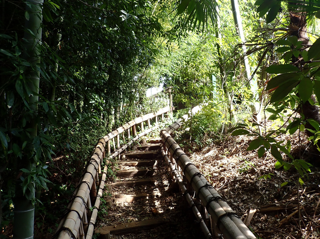 Chikurin Park-东久留米市必去景点