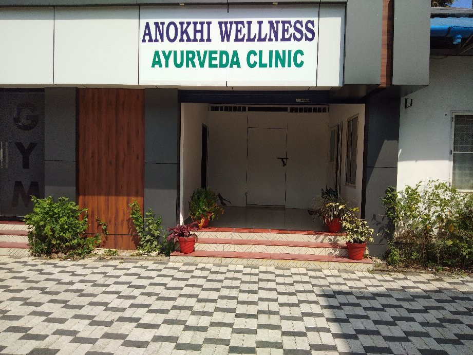 Anokhi Wellness景点图片