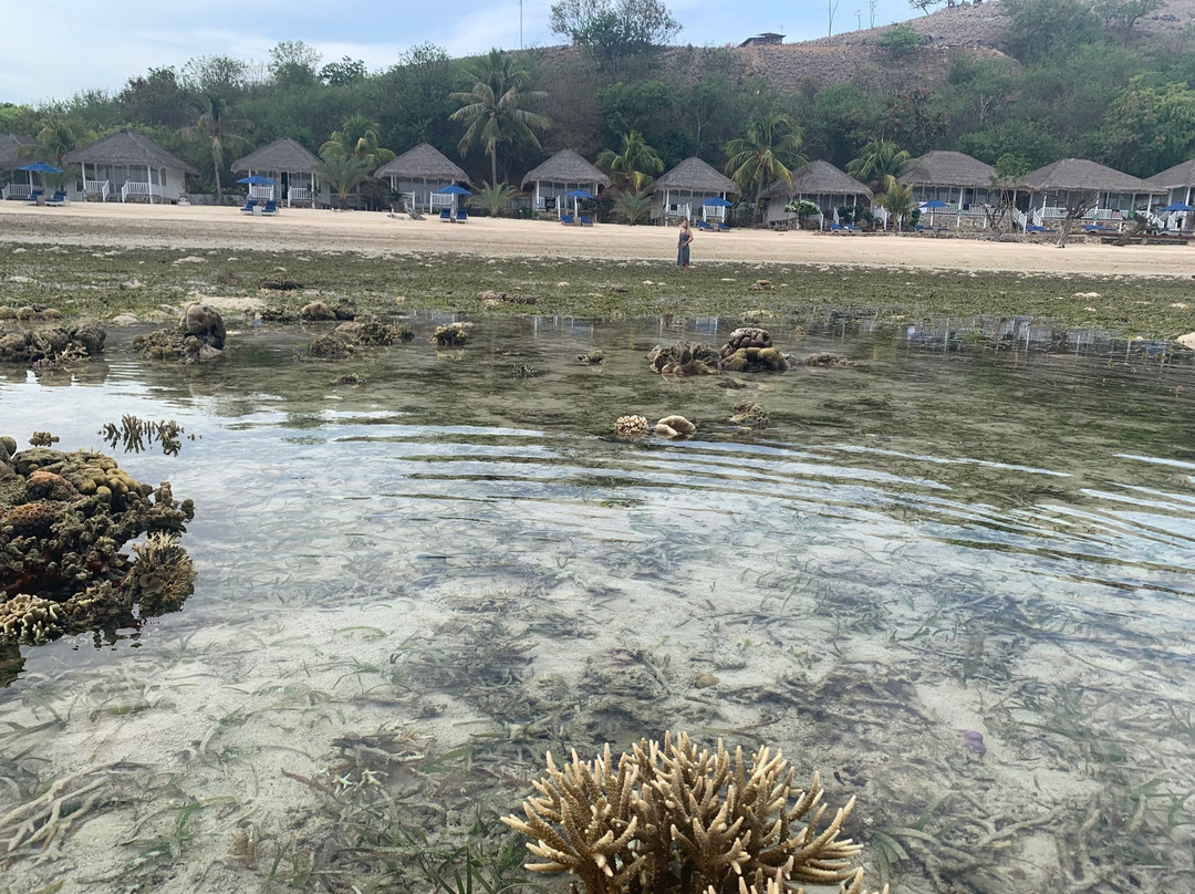 Sudamala Resort, Seraya主图