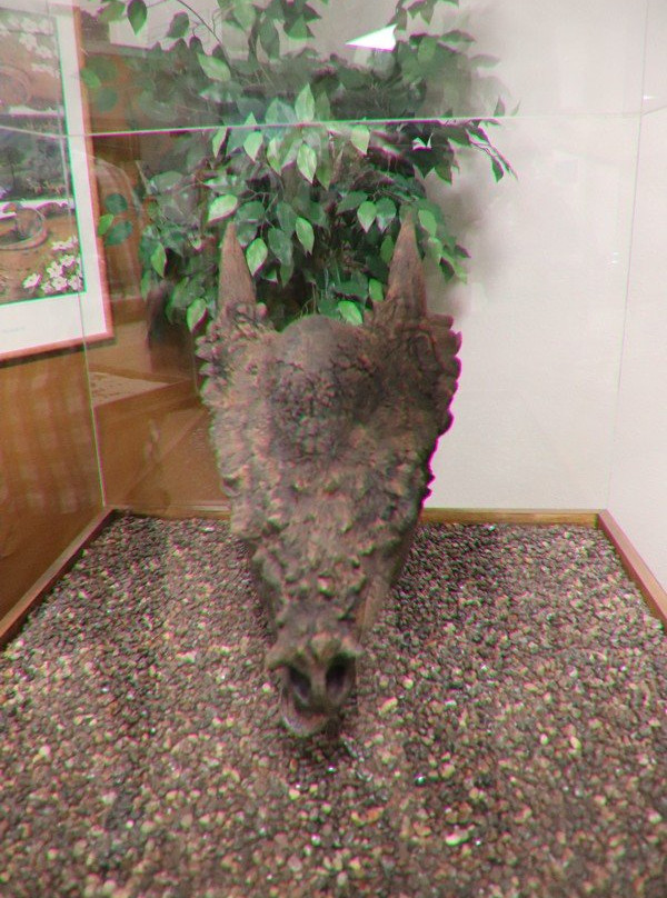 H. Earl Clack Memorial Museum-Havre必去景点