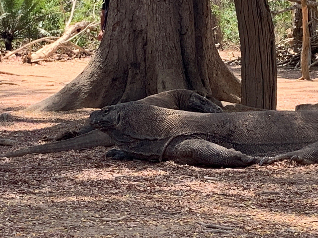 Beyond Komodo景点图片