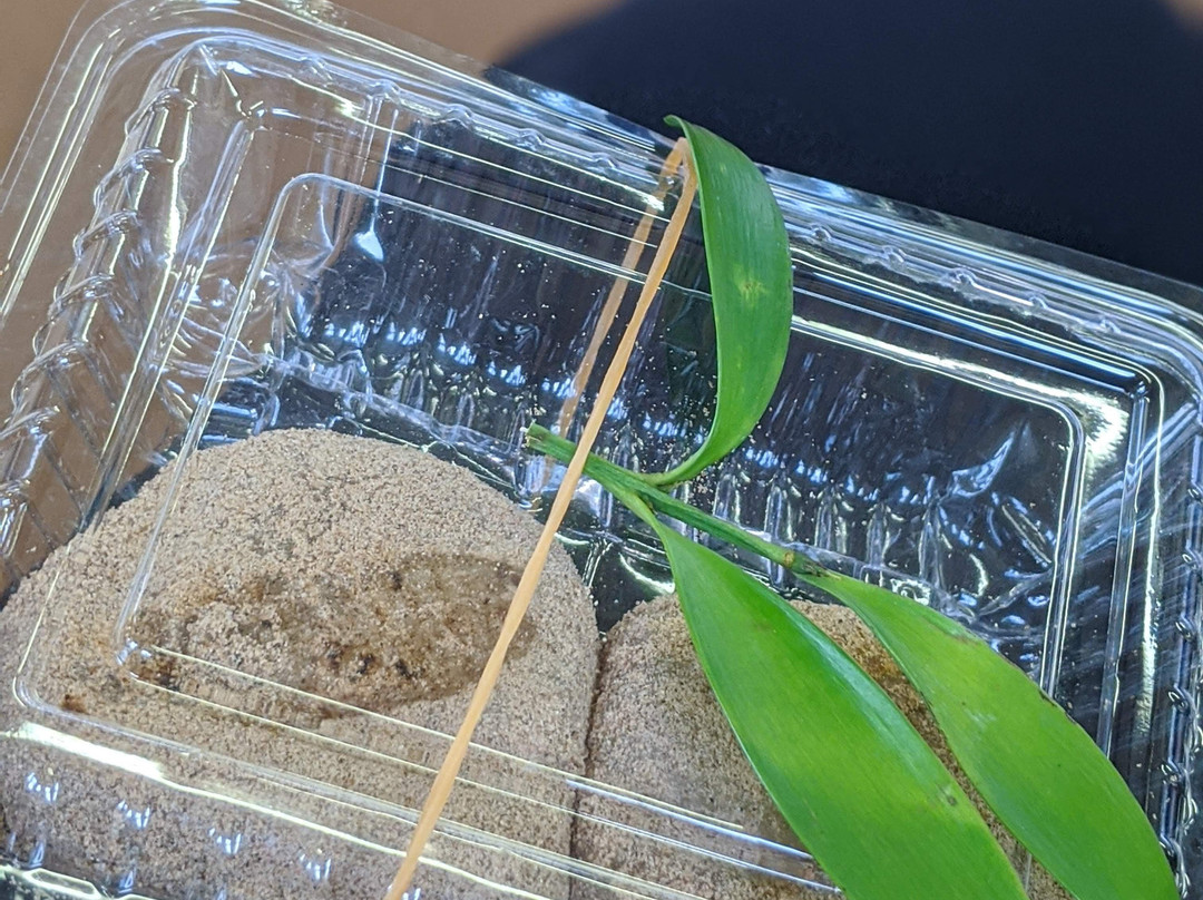 Kumano Hayatama Taisha Oshimboku Nagi-新宫市必去景点