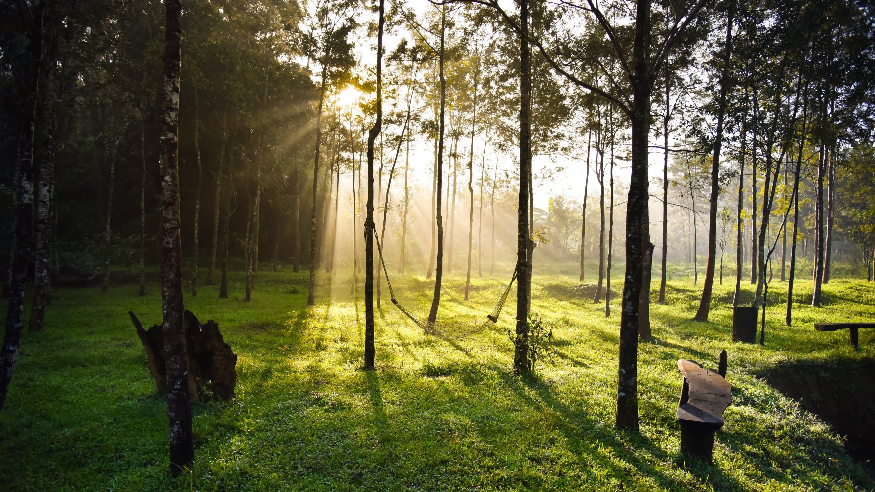 Moonmist Homestay-家庭/游戏区