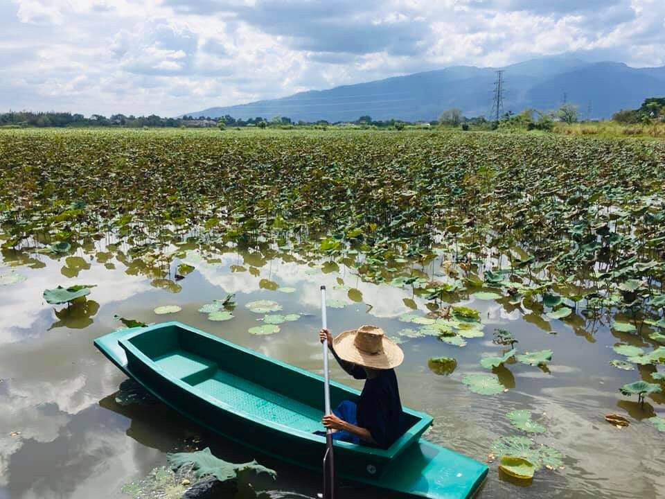 Thung Bua Khaw Floating Market Chiang Mai-讪柿必去景点