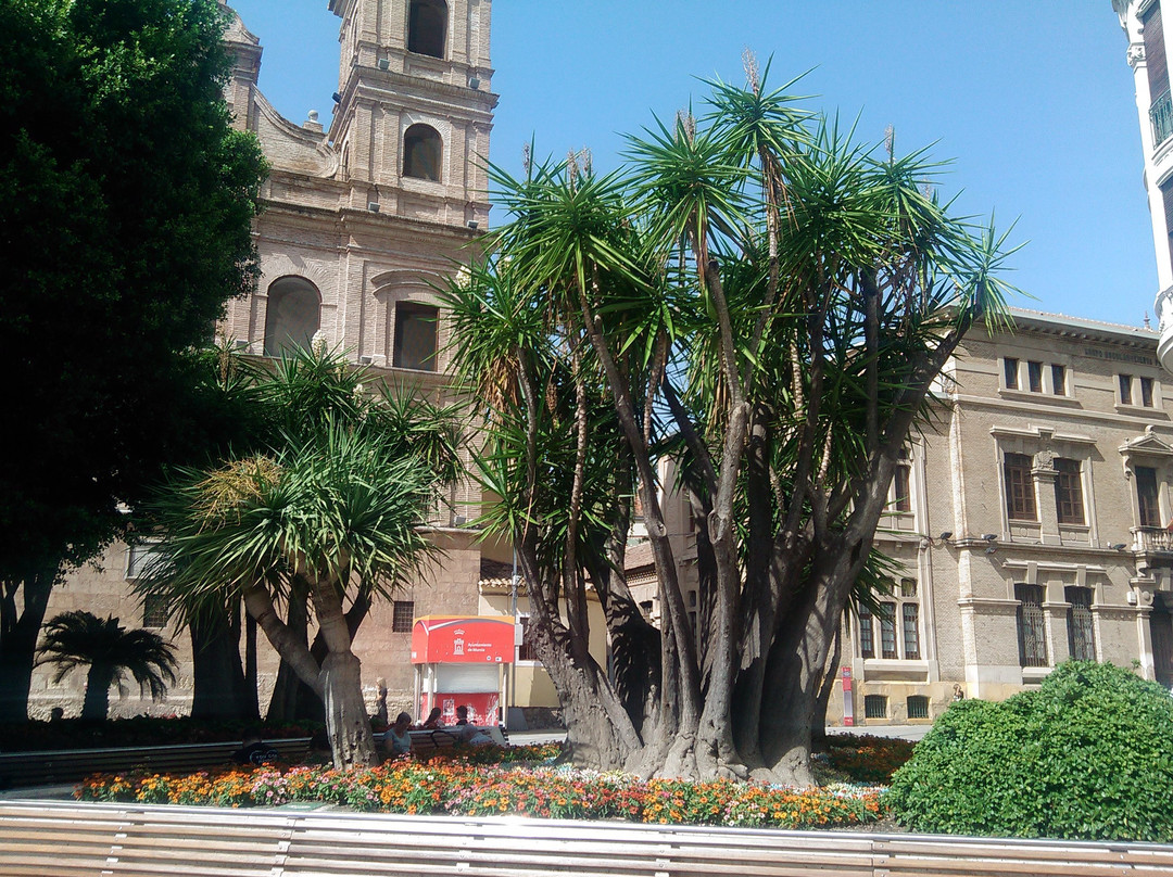 Plaza de las Flores-穆尔西亚必去景点
