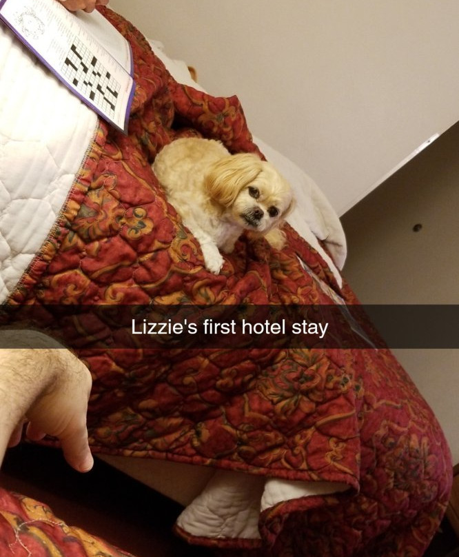 Granite Falls Super Motel主图