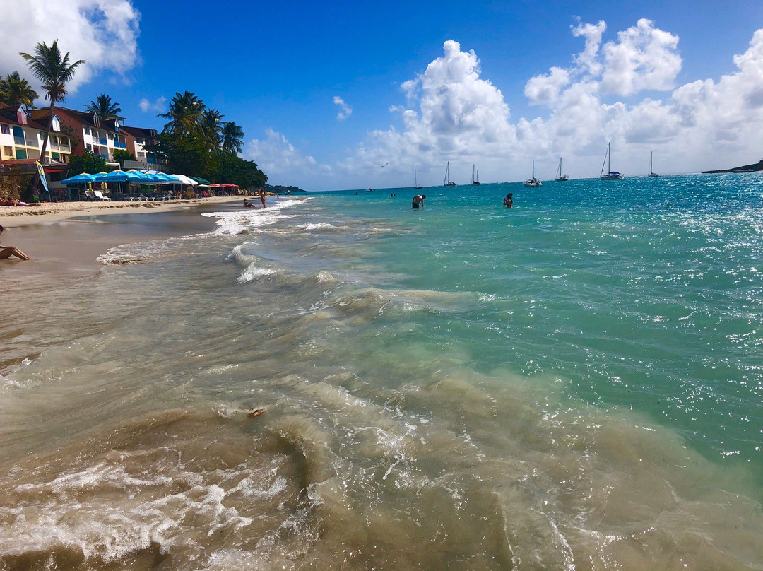 Plage de la Datcha景点图片