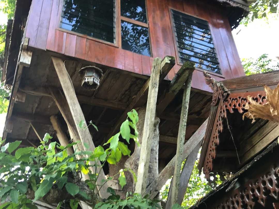 拜县派树屋度假村主图