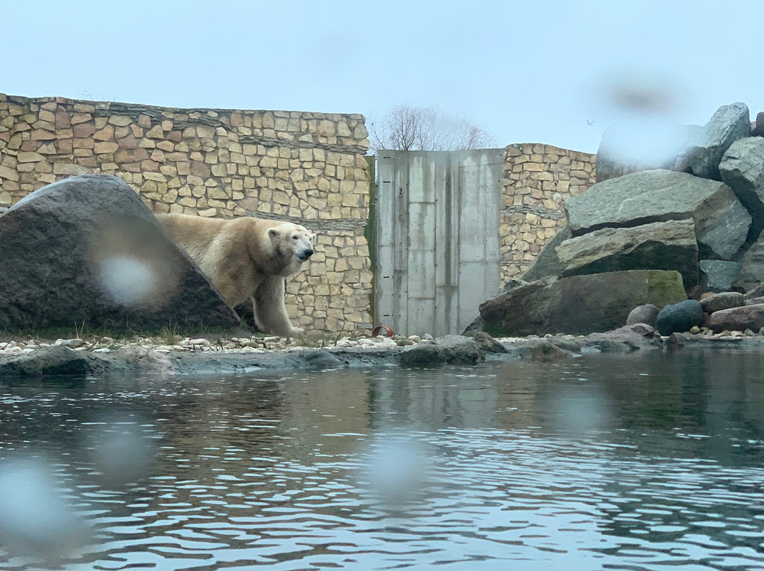 Zoo Adventure Park / Zoo Seikluspark-塔林必去景点