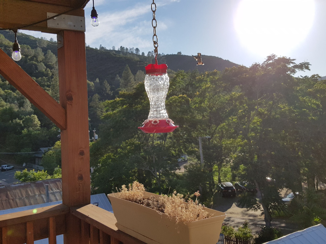 玛丽珀撒客栈酒店主图