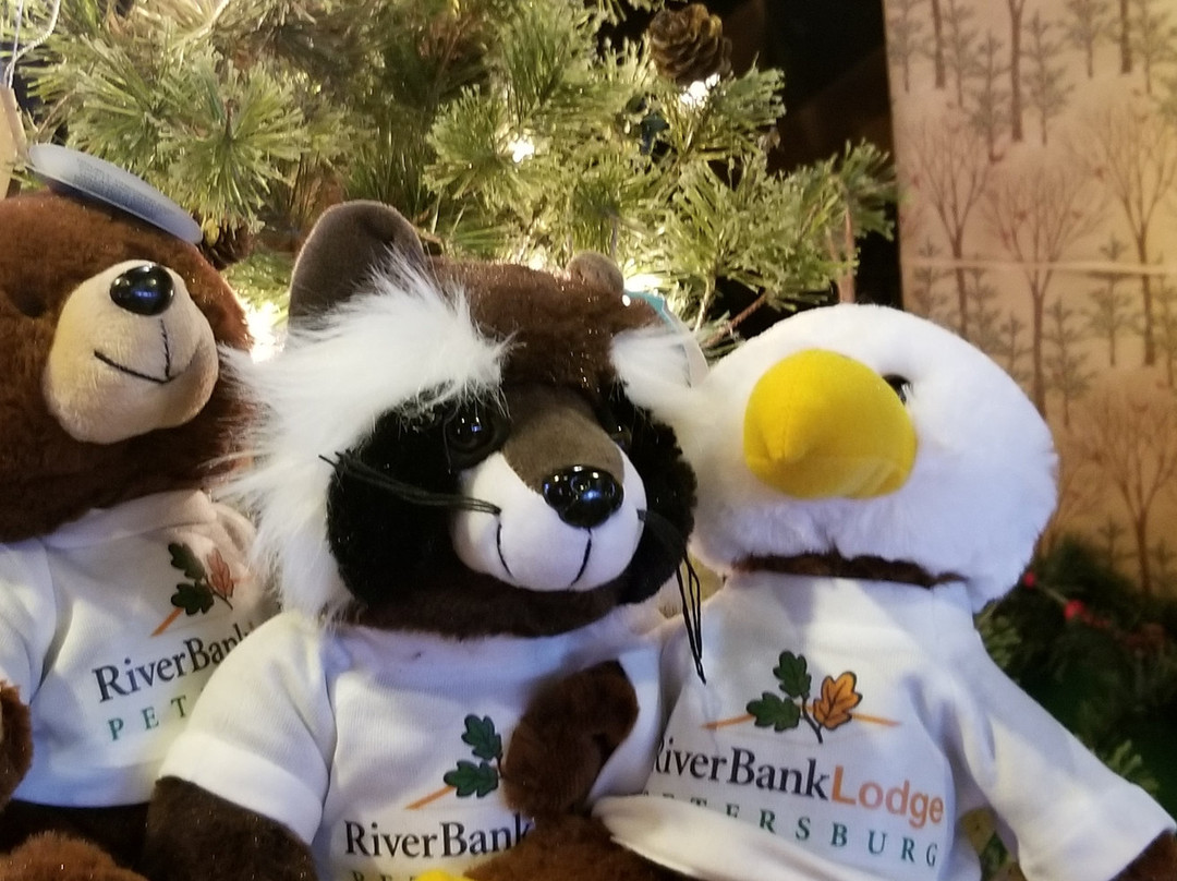 RiverBank Lodge主图