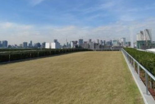 Toyosu Market Rooftop Garden-Toyosu必去景点