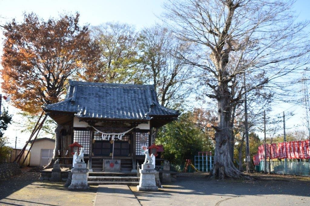 Inari Shrine景点图片