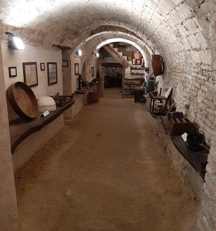 Museo della Civilta Contadina景点图片