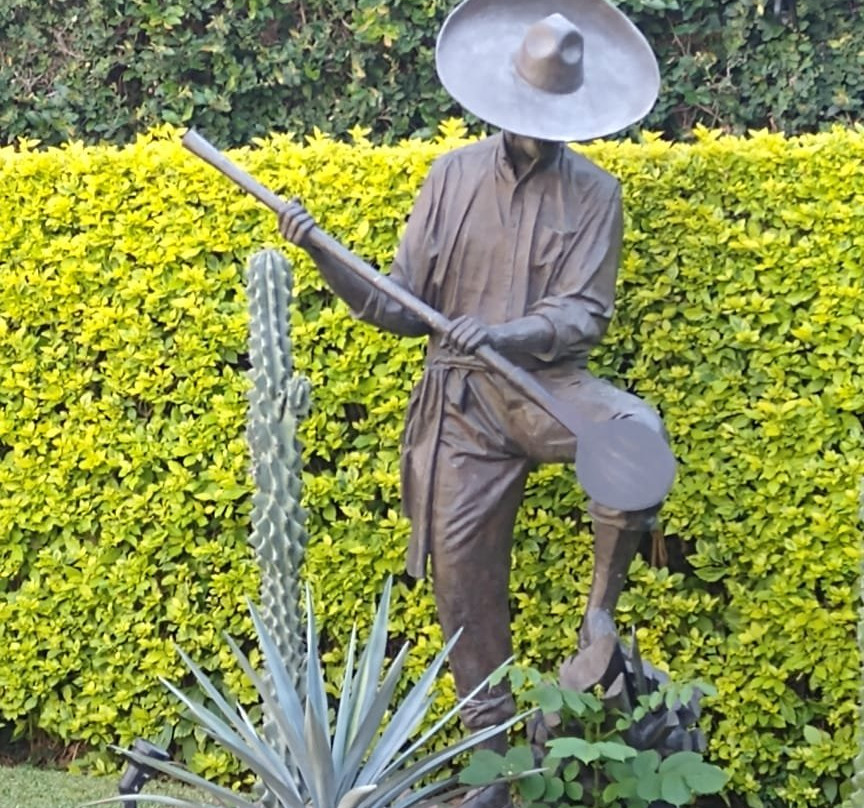 Hotel Villa Tequila主图