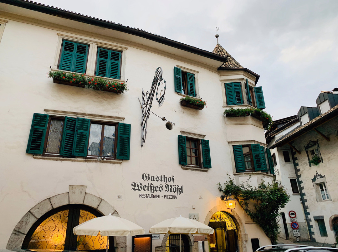 Steinegger酒店住宿-Hotel Weisses Rossl