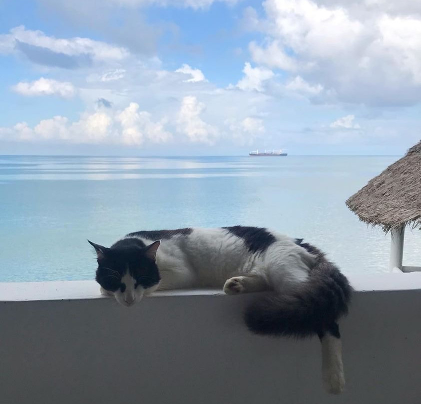 Chuini Zanzibar Lodge主图