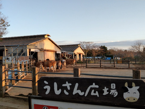 Mori no Makiba Auto Campsite-袖浦市必去景点