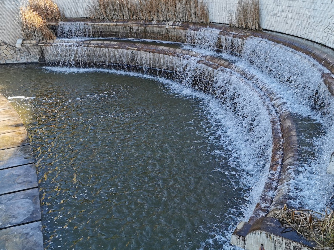 Parque de la Laguna del Carrizal-Collado Villalba必去景点