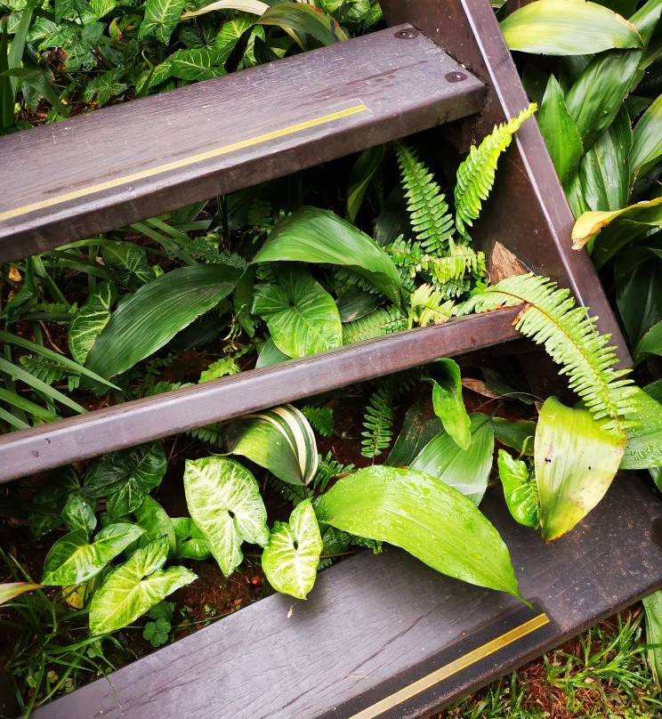 Ridgeview Lodge主图