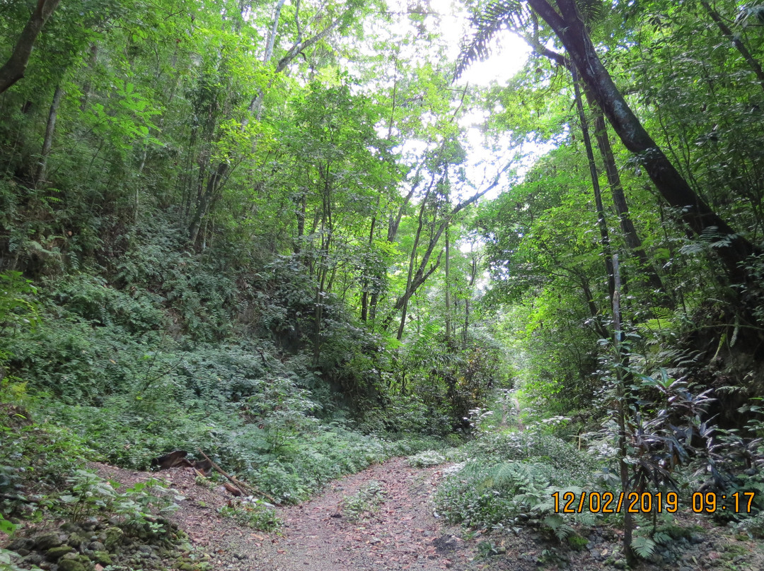 Jamaica Get Away Travels - Private Tours-蒙特戈贝必去景点