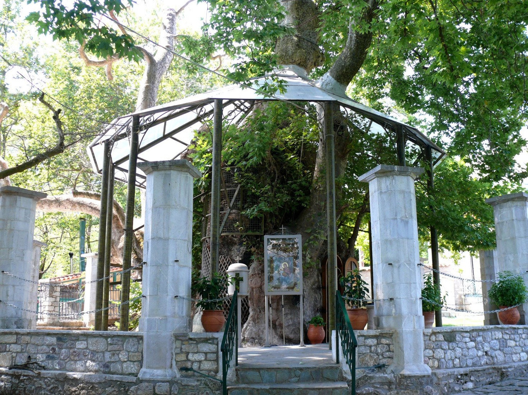 Panagia Plataniotissa-Plataniotissa必去景点