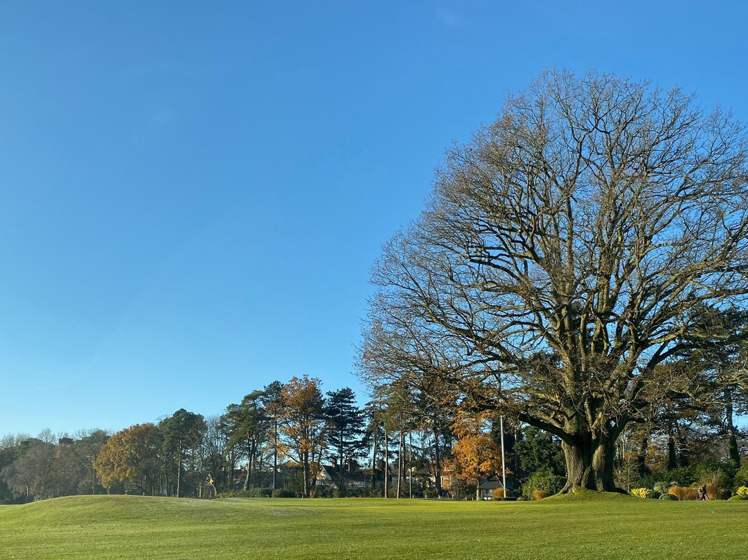 Sunningdale Golf Club景点图片