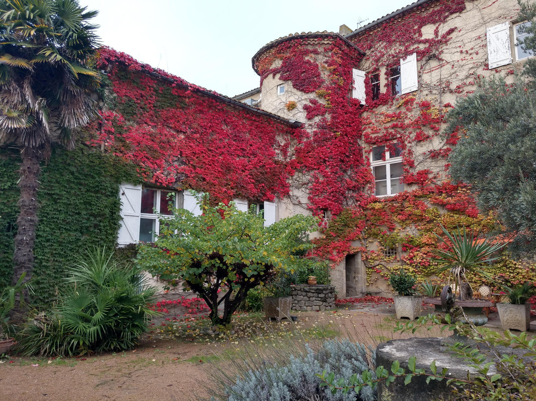 Château de Cavanac主图
