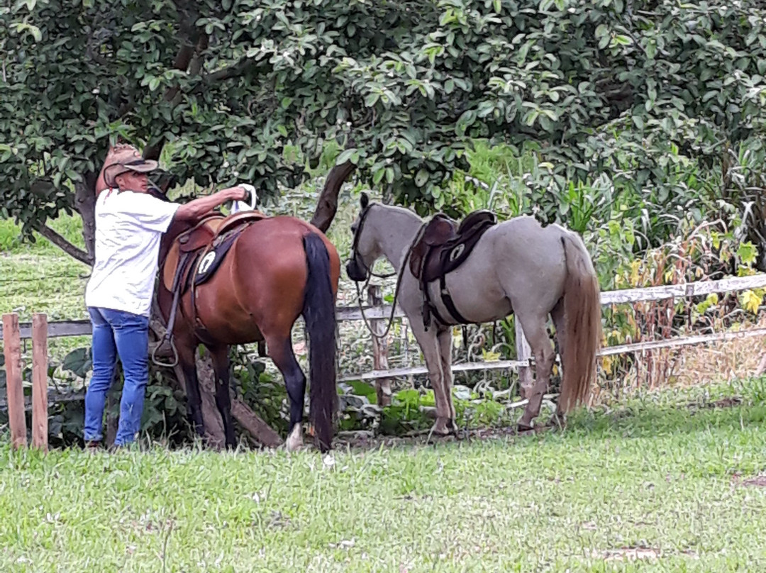 Eco Resort Fascinação主图