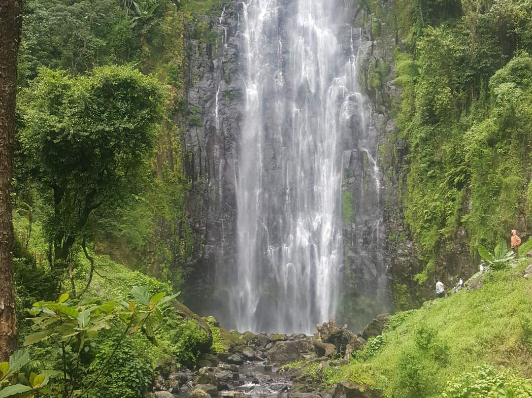 Tanzania Volunteers Ltd Day Tours-莫西必去景点