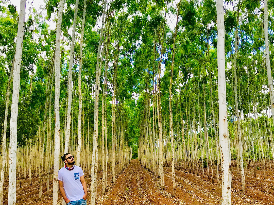 Vikarabad District旅游攻略图片