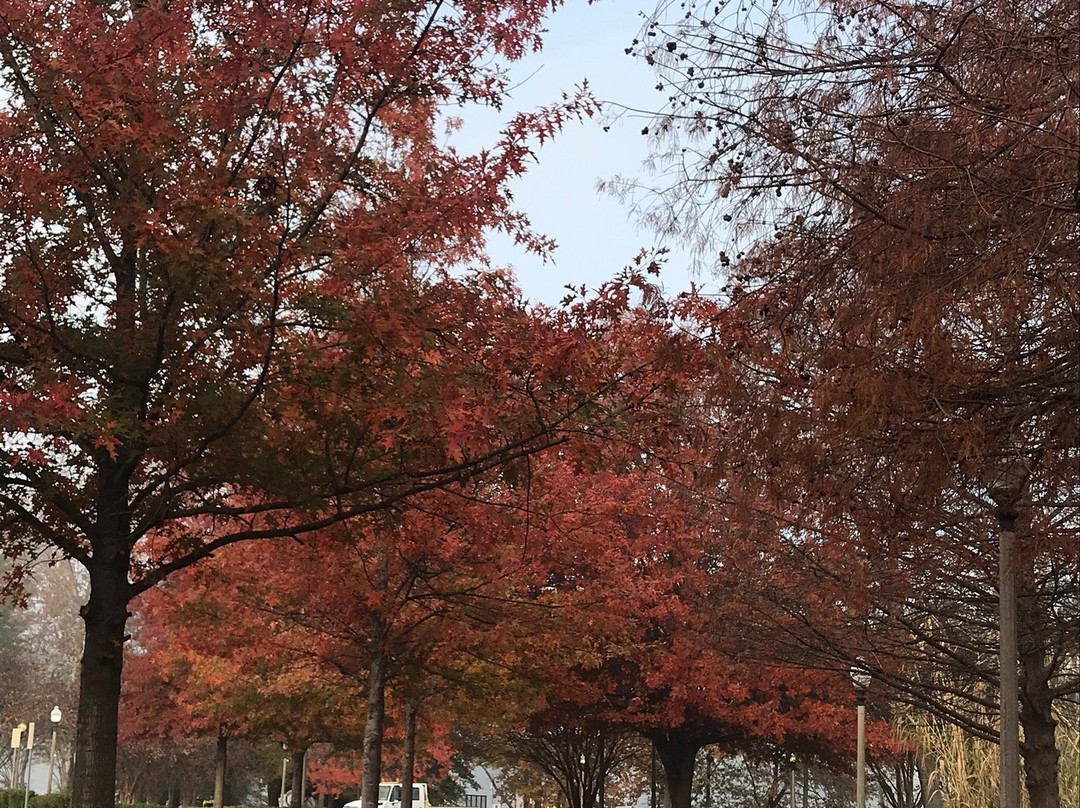 Tuscaloosa Riverwalk景点图片