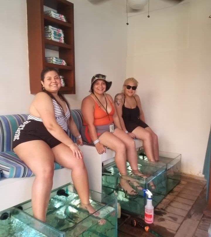 Islander Fish Spa-考祖梅必去景点