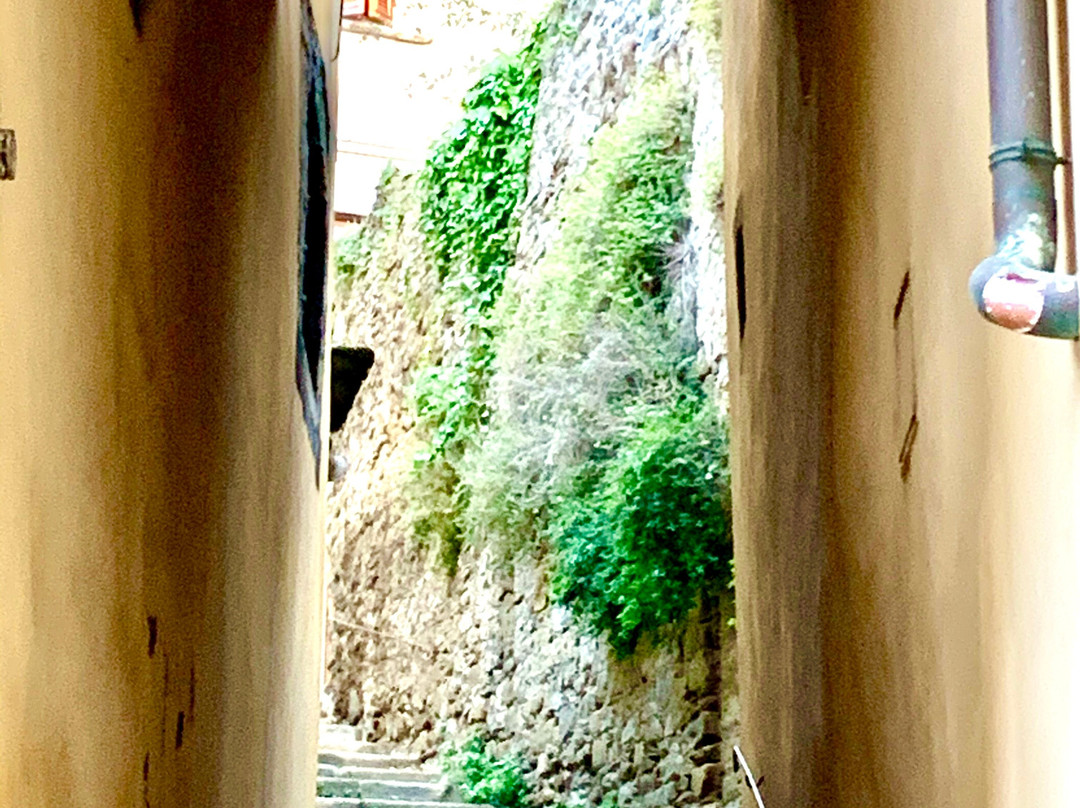 Together in Tuscany & Umbria-科尔托纳必去景点