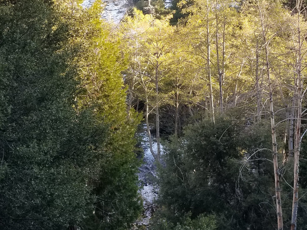 Ice House Canyon Trail景点图片