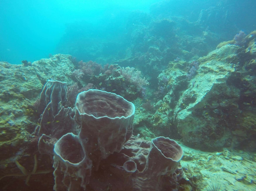 Luna Diving-拉威必去景点