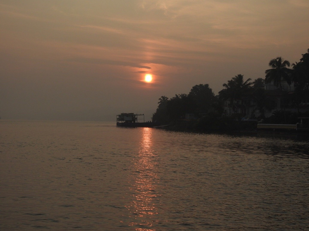 Dr. Salim Ali Bird Sanctuary景点图片