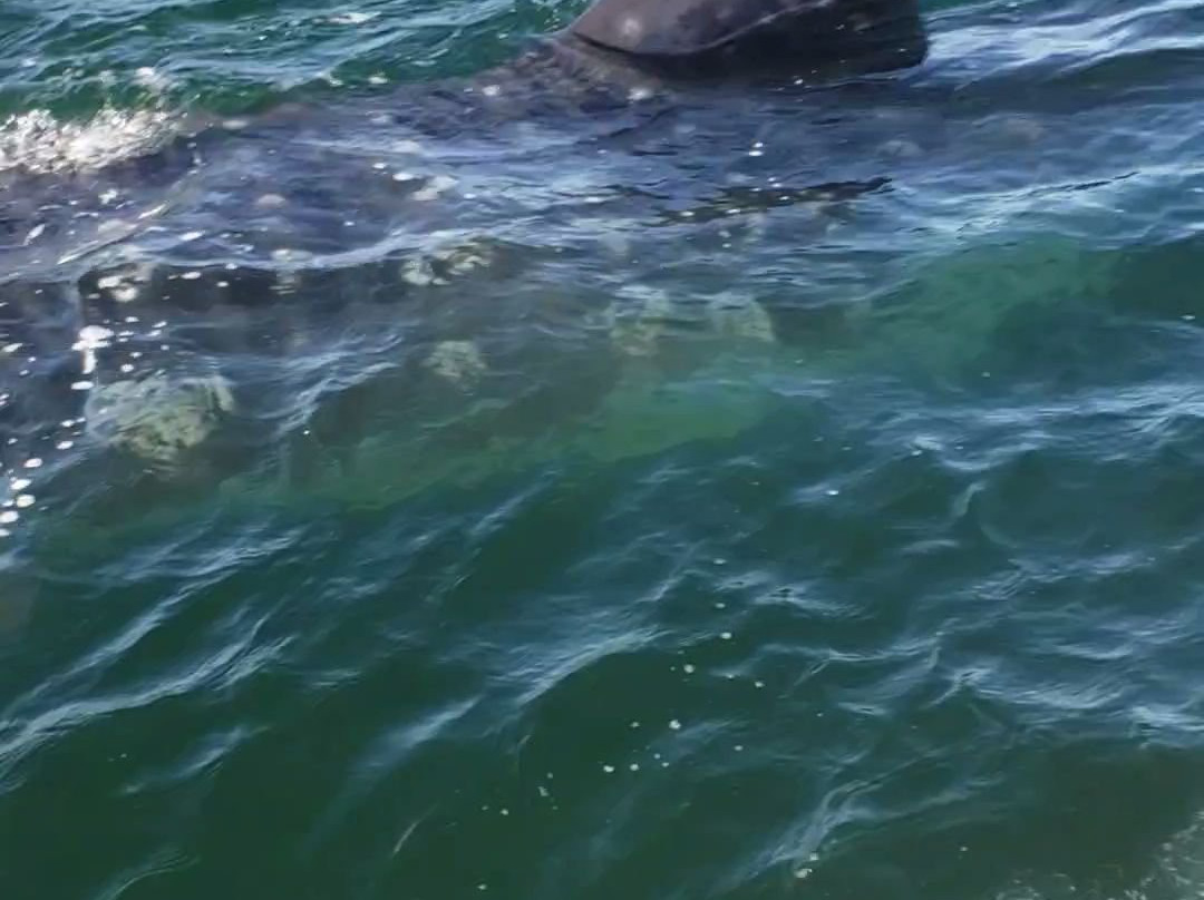 Los Vientos Hotel主图