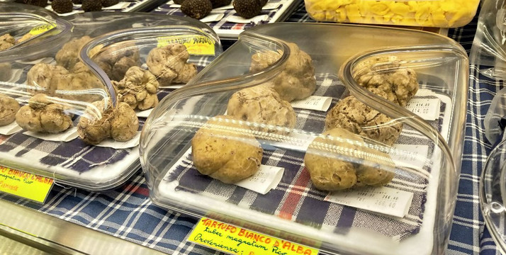 Tartufi Elio Ratti-阿尔巴必去景点