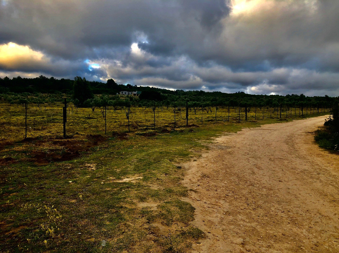 Botterkloof Resort主图