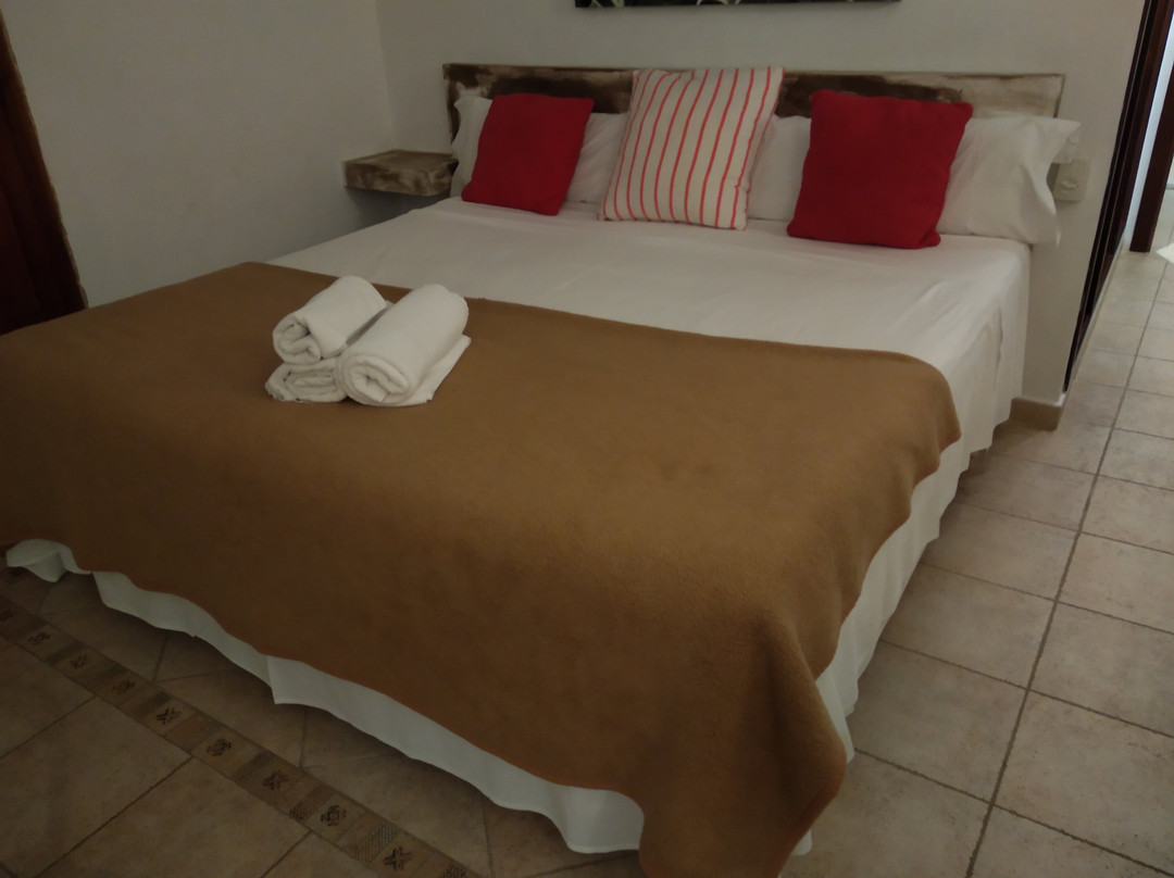 Petit Hotel Algaida主图