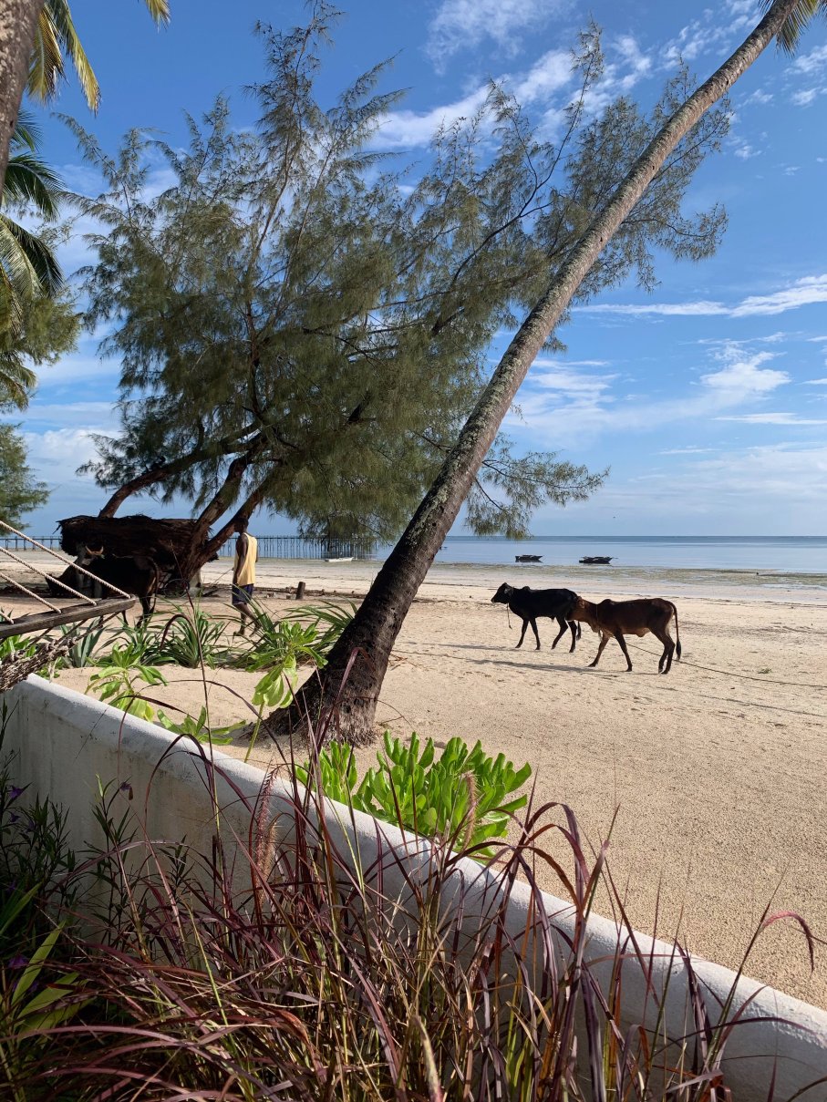 Surfescape Beachfront Apartments-浴室