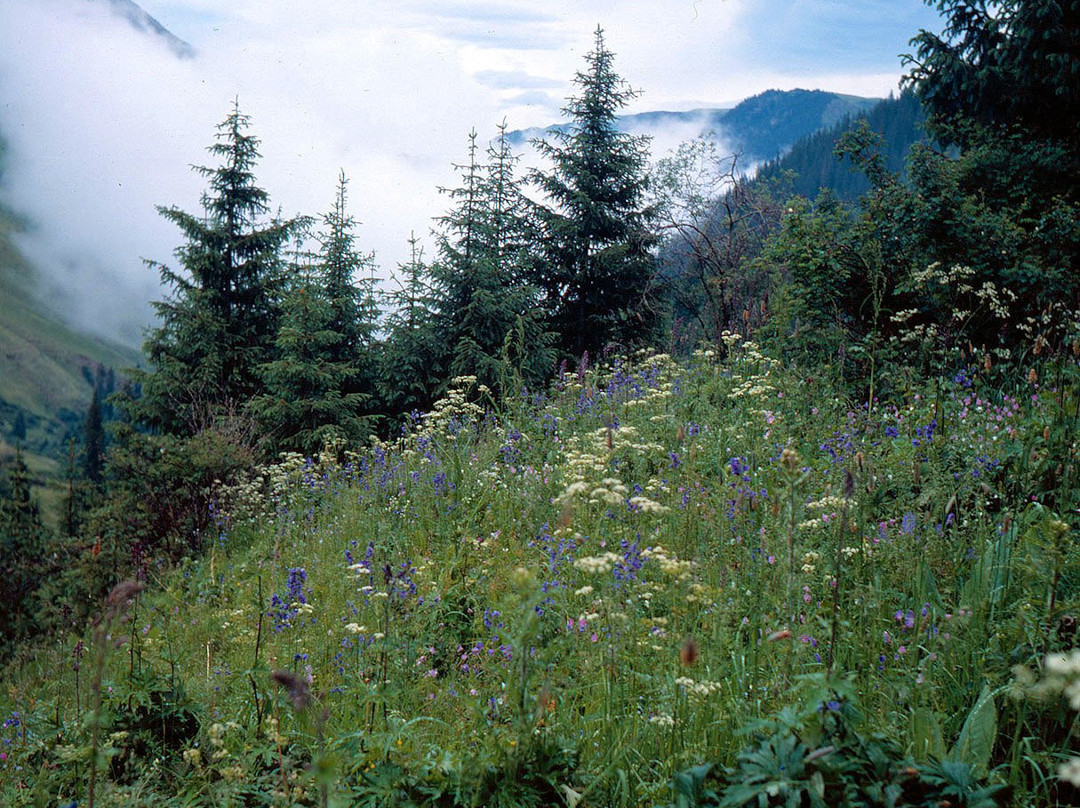 Turgenskoye Gorge-Turgen必去景点