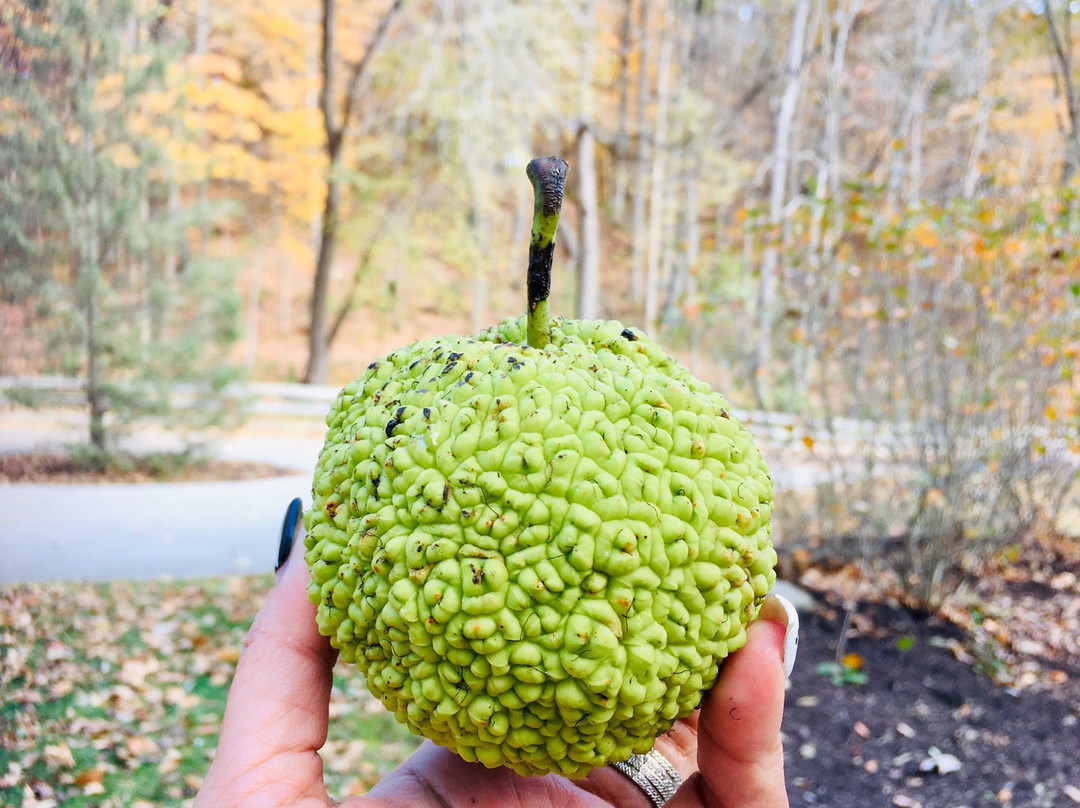 Happy Hollow Park-西拉斐特必去景点