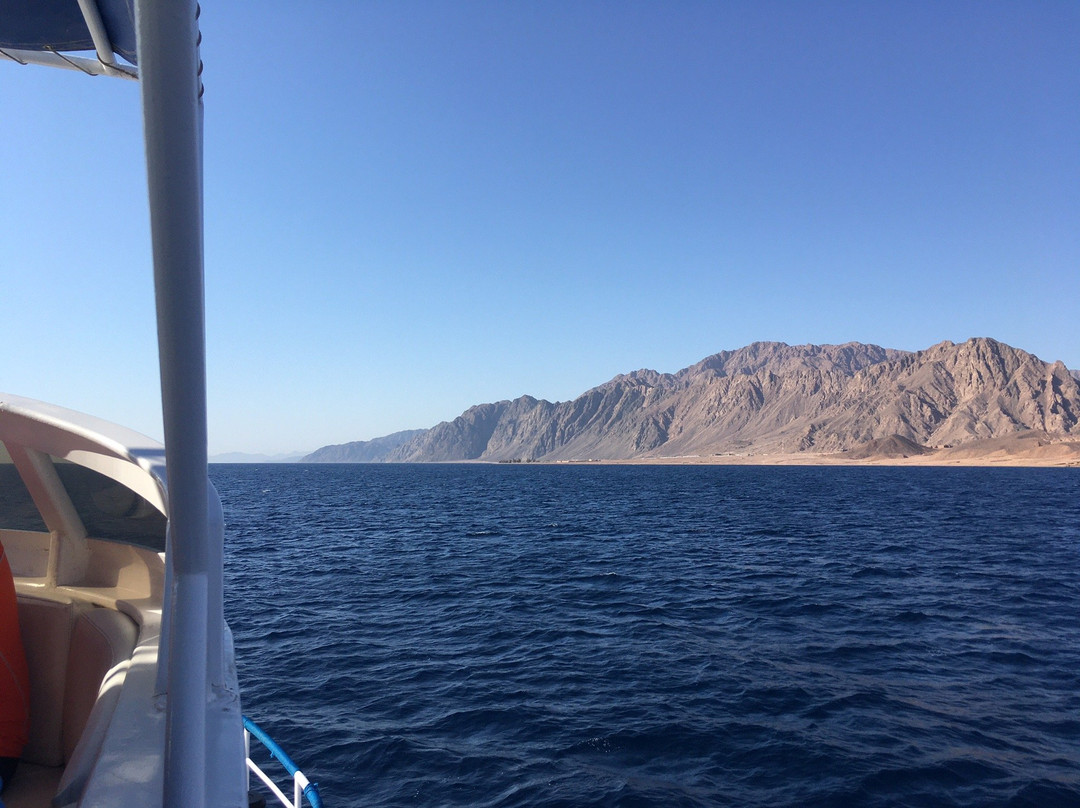 Blue Realm Diving Dahab-南西奈必去景点