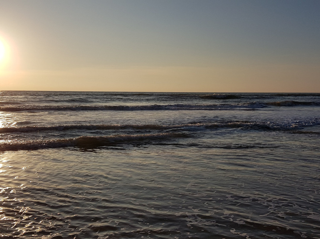 Eco Beach景点图片